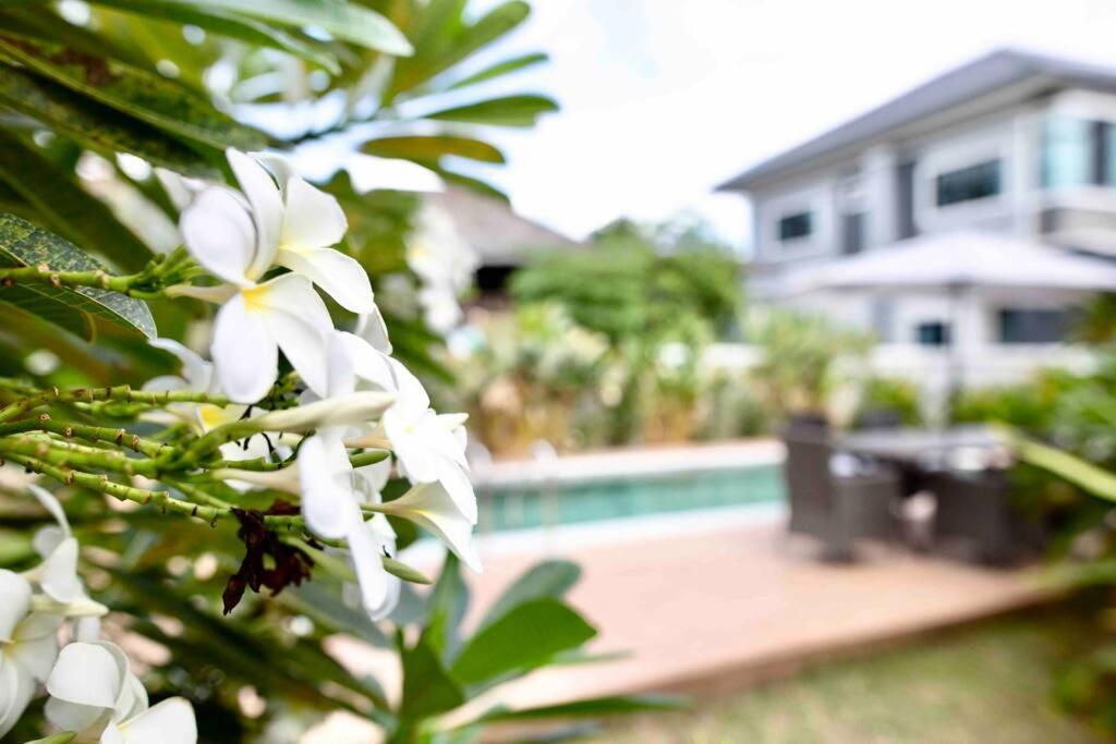 Pousada 5br Poolvilla On The Old Moat ⁜best Location⁜